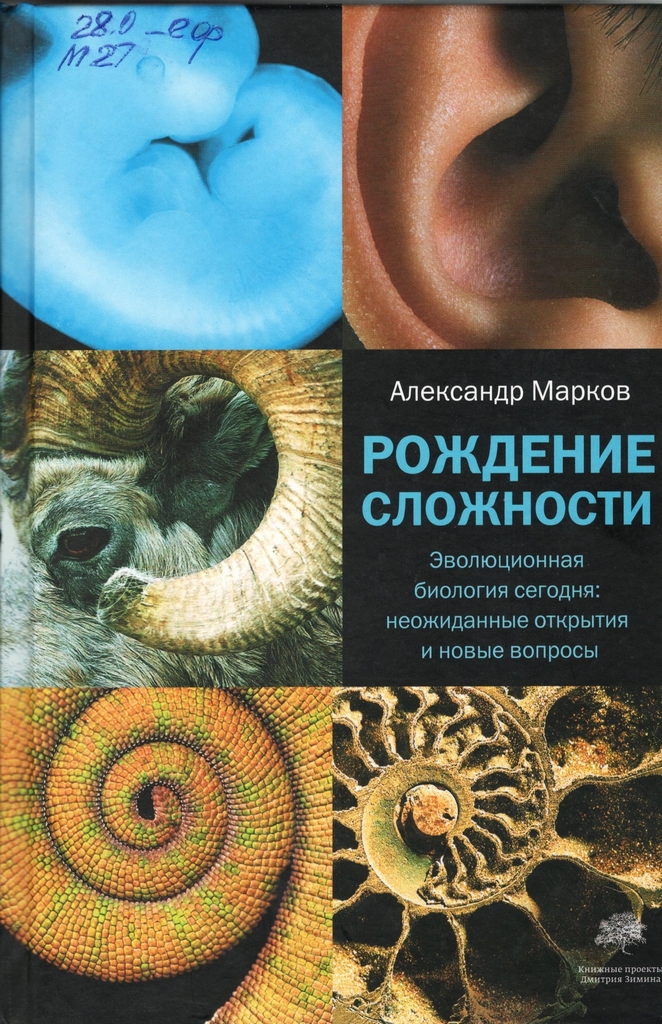 Марков. Рождение сложности.