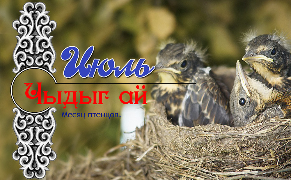 07 Июль