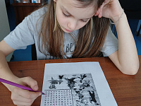 Книжный вихрь: как библиотеки превращают чтение в праздник