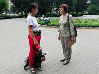 День семьи любви и верности на Петровском бульваре.