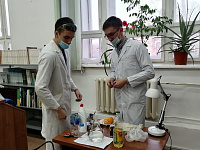 Библиосумерки