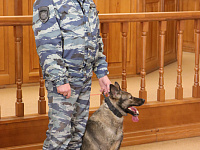 «Путь к профессии – полицейский»