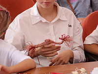 «Желанница»